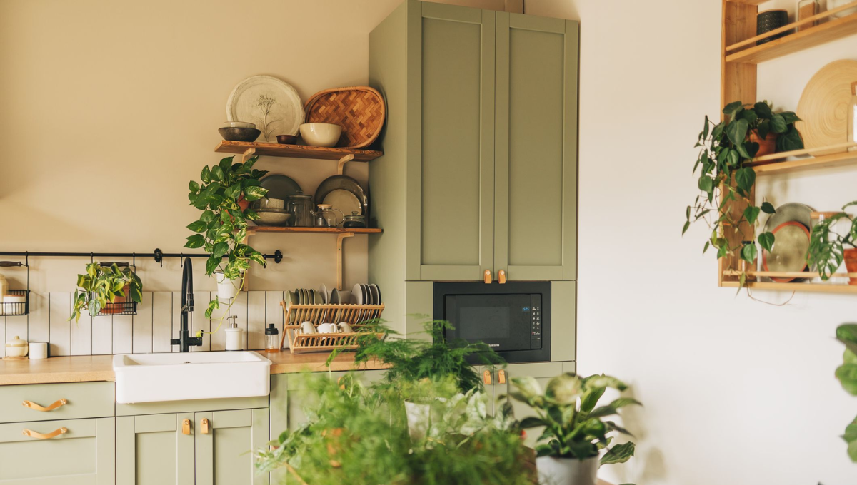 Las plantas que debes tener en tu cocina para atraer abundancia