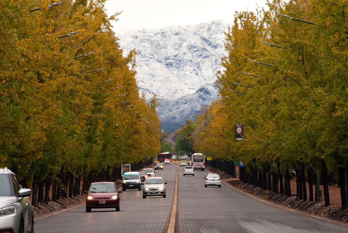 Pronóstico del tiempo en Mendoza para toda la semana: este domingo estará muy frío con lloviznas