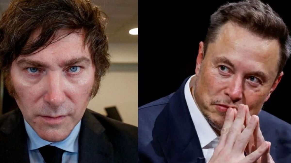 El Multimillonario Elon Musk Elogi En Sus Redes El Discurso Que Dio Javier Milei En Davos