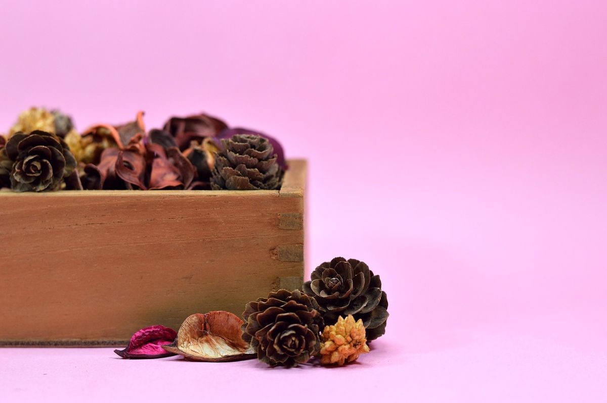 Popurrí proviene del francés pot-pourri. Imagen: Pixabay. Popurrí proviene del francés pot-pourri. Imagen: Pixabay.