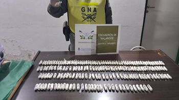 Un perro detectó 184 cápsulas con cocaína ocultos en el doble fondo de una valija en un colectivo