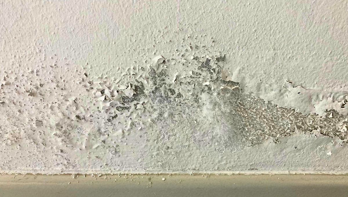 Para eliminar la humedad y mantener el armario seguro, solo necesitas un truco casero. Para eliminar la humedad y mantener el armario seguro, solo necesitas un truco casero. 