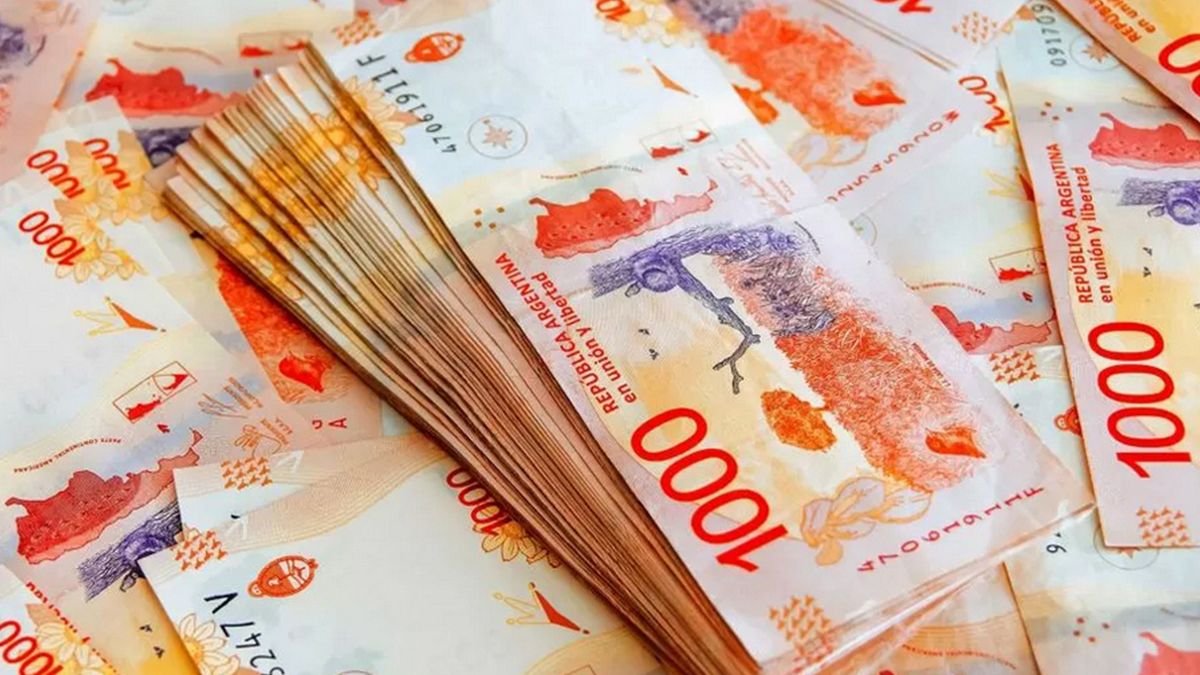 AFIP confirmó la devolución del 35% de estos gastos: cómo solicitar el reintegro