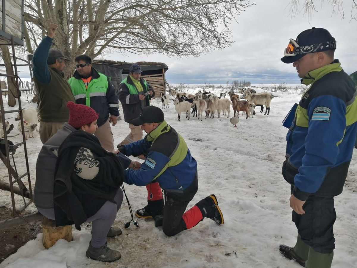 Ayuda humanitaria. Personal médico de las patrullas de Gendarmería pudo asistir con alimentos y material sanitario a las familias bloqueadas por las nevadas en Mendoza. Ayuda humanitaria. Personal médico de las patrullas de Gendarmería pudo asistir con alimentos y material sanitario a las familias bloqueadas por las nevadas en Mendoza.