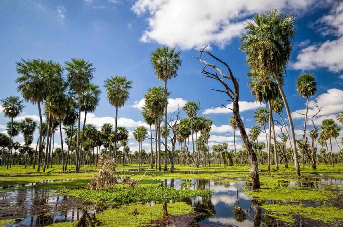 Bañado La Estrella, alucinante Bañado La Estrella, alucinante