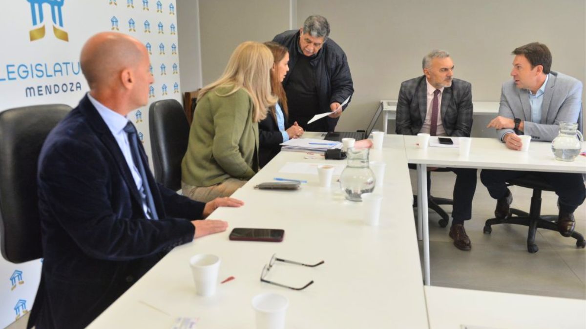 La Comisión Especial de Poderes del Senado habilitó a los senadores electos, que asumirán el jueves.