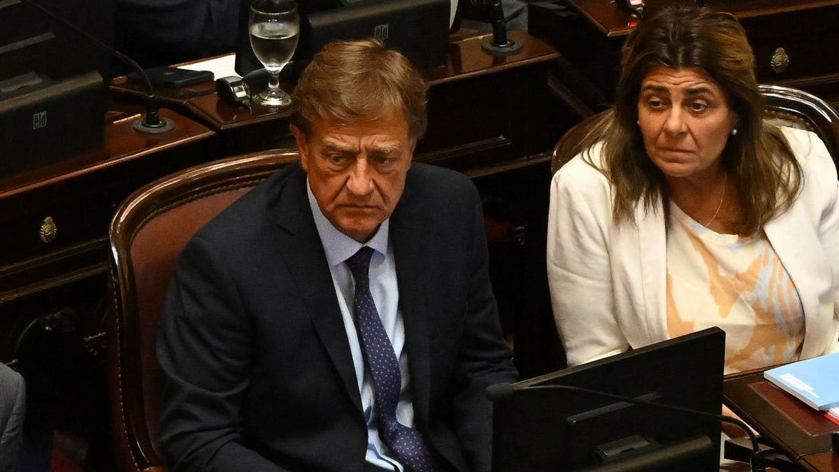 Rodolfo Suarez y Mariana Juri, senadores nacionales del radicalismo por Mendoza. Él votó a favor de crear una comisión investigadora por el escándalo de las criptomonedas. Ella votó en contra.