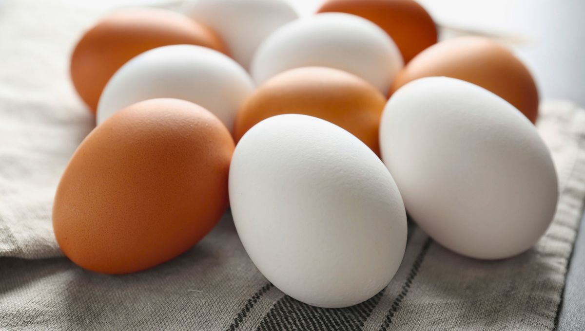 Usos de los huevos marrones y blancos. Usos de los huevos marrones y blancos.