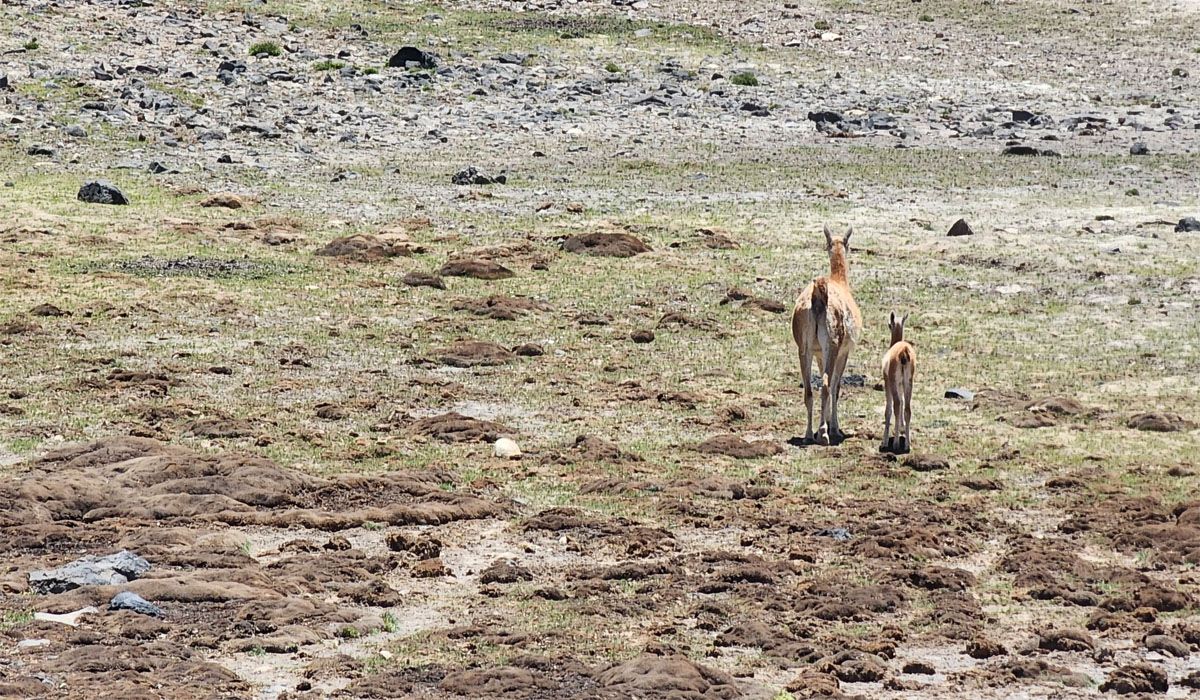 Bellezas naturales en Mendoza para disfrutar como La Laguna del Diamante. Bellezas naturales en Mendoza para disfrutar como La Laguna del Diamante.