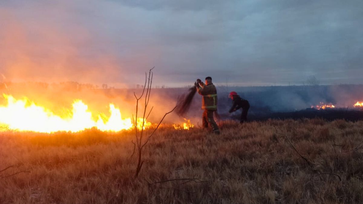 El incendio copó un campo en ruta 28 y San Esteban, en El Algarrobal. Las Heras.