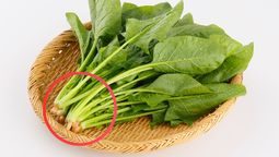 No tires el tallo de la espinaca y transfórmala en un tesoro: cómo y paras qué sirve