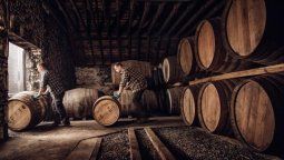 Aumentó el consumo y la exportación de vino y hay alivio para los viñateros