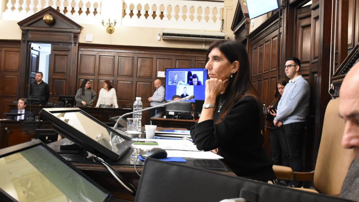 Natacha Eisenchlas, actual presidenta provisional del Senado. Su espacio -Cambia Mendoza- tendrá más mujeres (10) que hombres (9).