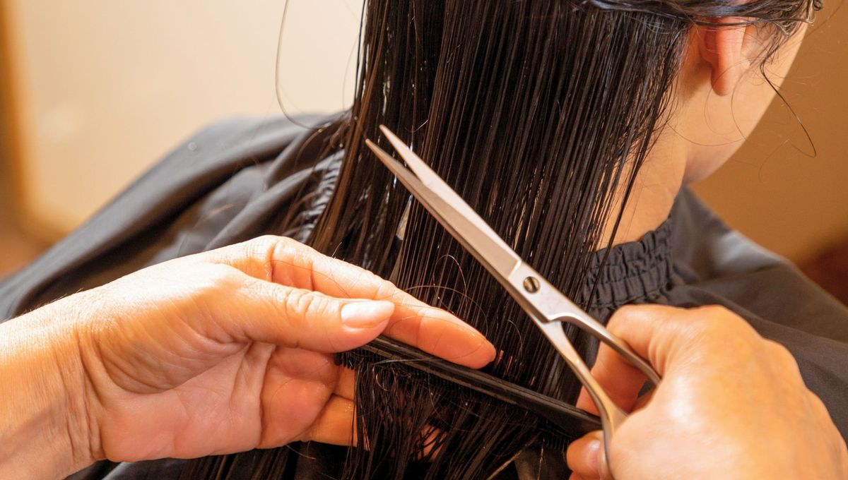 Dos cortes de pelo con diferencias. 