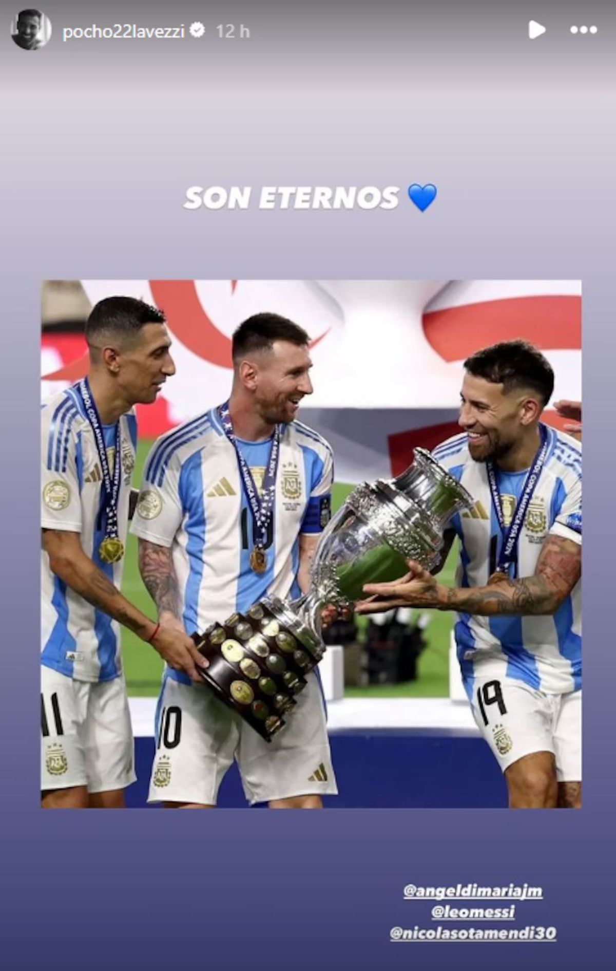 La vieja Guardia, los últimos integrantes de la antigua generación de la Selección argentina. La vieja Guardia, los últimos integrantes de la antigua generación de la Selección argentina.