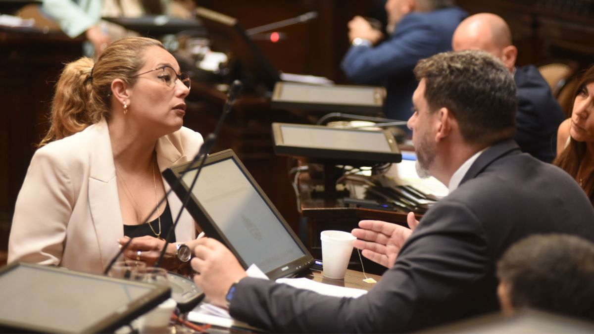 Adriana Cano (PJ) y Martín Kerchner (CM), dos de los que tomaron la palabra en la sesión del Presupuesto 2026. Adriana Cano (PJ) y Martín Kerchner (CM), dos de los que tomaron la palabra en la sesión del Presupuesto 2026.