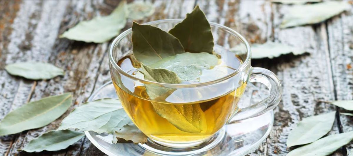 Beneficio de tomar té de laurel.