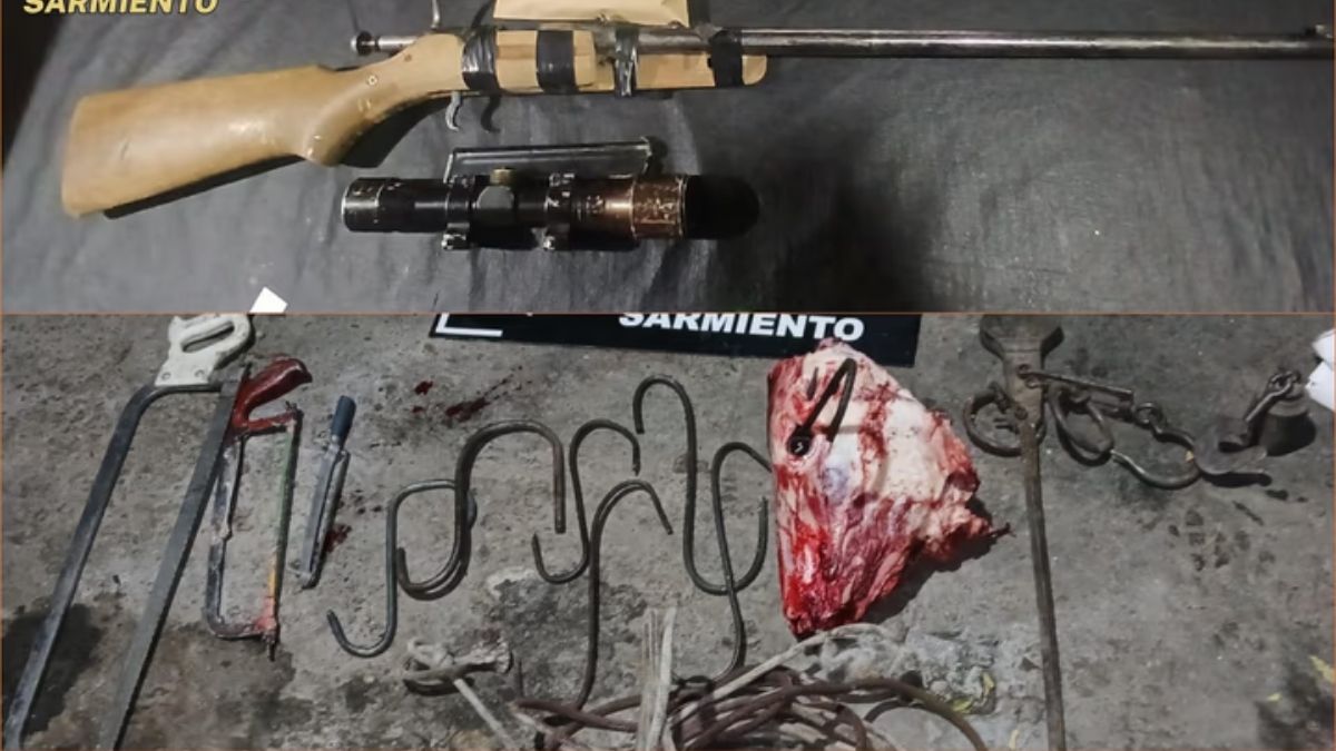 Carne, armas y otros elementos secuestrados durante los procedimientos. Carne, armas y otros elementos secuestrados durante los procedimientos.