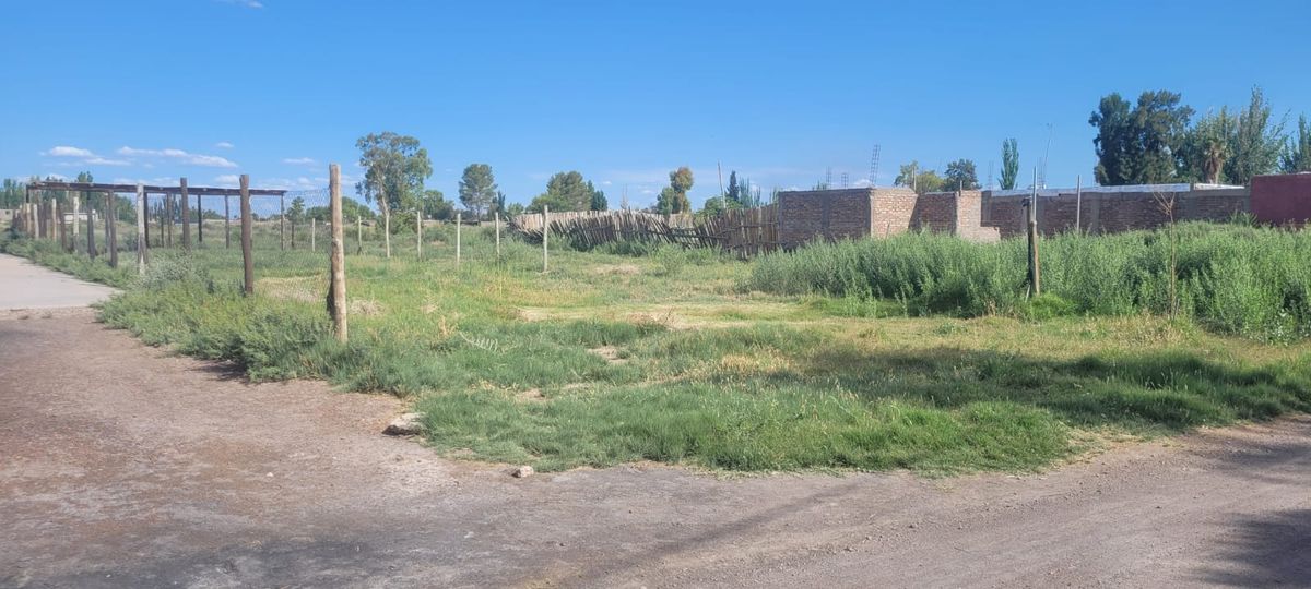 El calor asfixia en Loteo Jofré, y los vecinos salen a la calle a tomar algo fresco y buscan refrescarse con el poco verdor del barrio, la mayoría de las veces interrumpido por tierra y piedras. El calor asfixia en Loteo Jofré, y los vecinos salen a la calle a tomar algo fresco y buscan refrescarse con el poco verdor del barrio, la mayoría de las veces interrumpido por tierra y piedras.