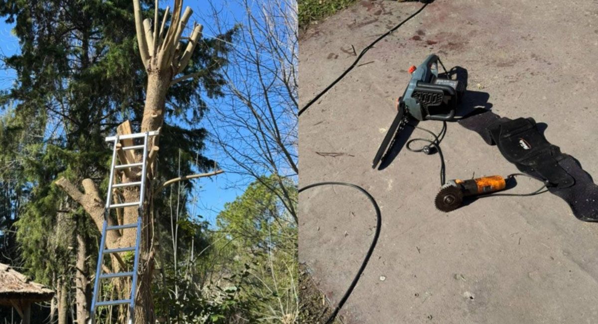 Un jubilado fue encontrado desangrado en el patio de su casa al sufrir un profundo corte en una pierna mientras podaba un árbol Un jubilado fue encontrado desangrado en el patio de su casa al sufrir un profundo corte en una pierna mientras podaba un árbol