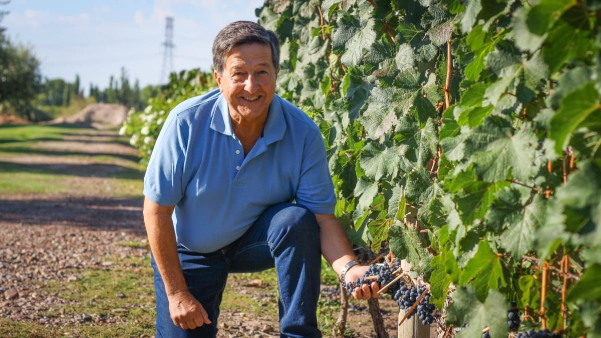 Su casa familiar está ubicada a metros de su bodega. Disfruta de esa magia de despertarse entre viñedos. Su casa familiar está ubicada a metros de su bodega. Disfruta de esa magia de despertarse entre viñedos.