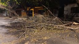 El Zonda dejó un panorama complicado en las calles de Mendoza. DGE emitió el anuncio de clases suspendidas.