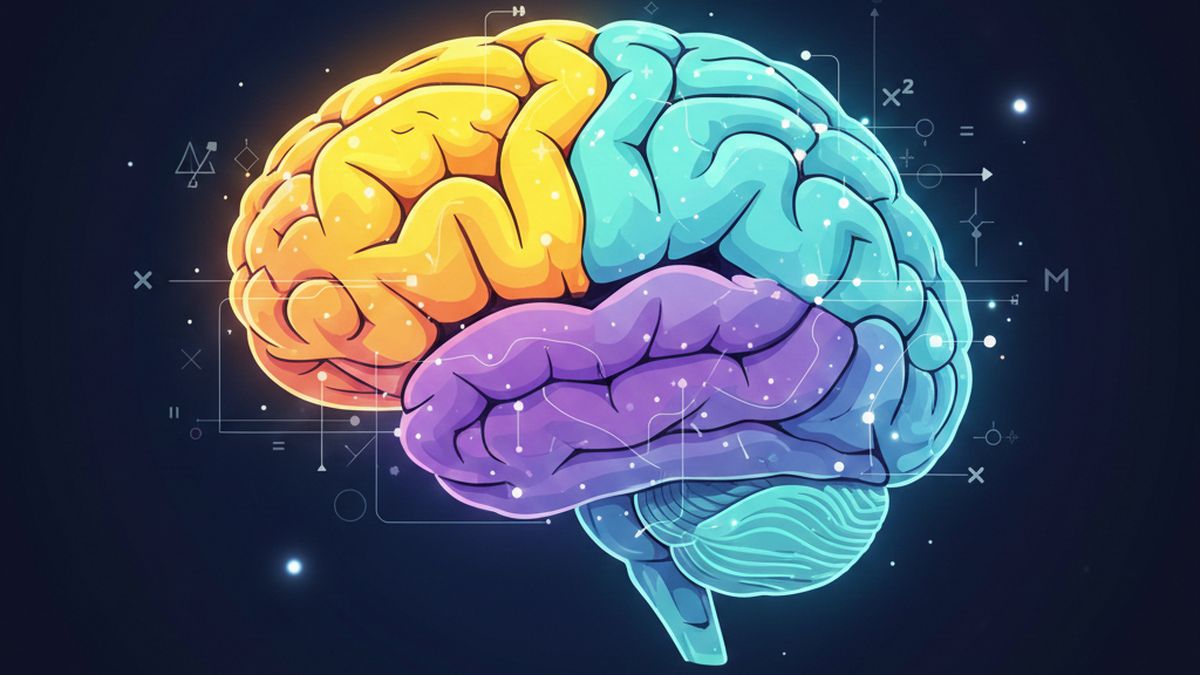 El cerebro se pone en acción con un buen desafio matemático. El cerebro se pone en acción con un buen desafio matemático.