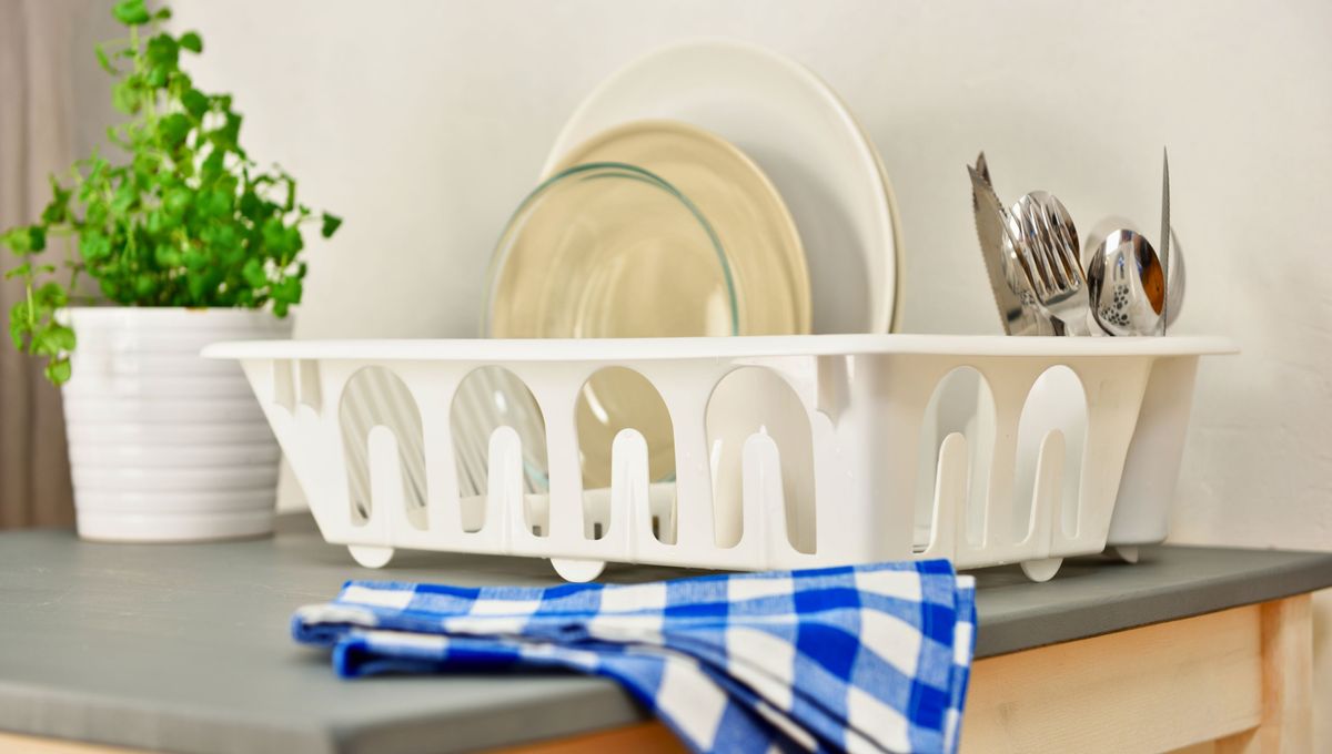 Es importante mantener una buena limpieza de la cocina para evitar estos problemas. Es importante mantener una buena limpieza de la cocina para evitar estos problemas.