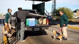 Coronavirus: el Iscamen se suma desde el lunes a la prevención en las barreras sanitarias de Mendoza
