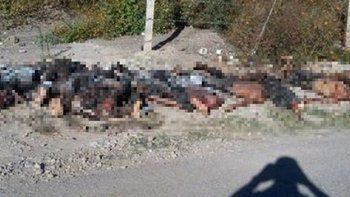 Macabro hallazgo en México: encontraron 11 cuerpos parcialmente quemados y decapitados
