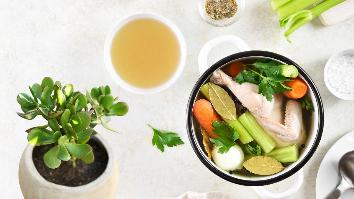 Qué sucede si le colocas caldo a tu árbol de Jade