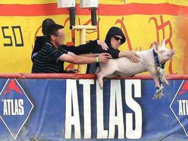 ¡Recopilación imperdible! Los peores objetos lanzados en un partido