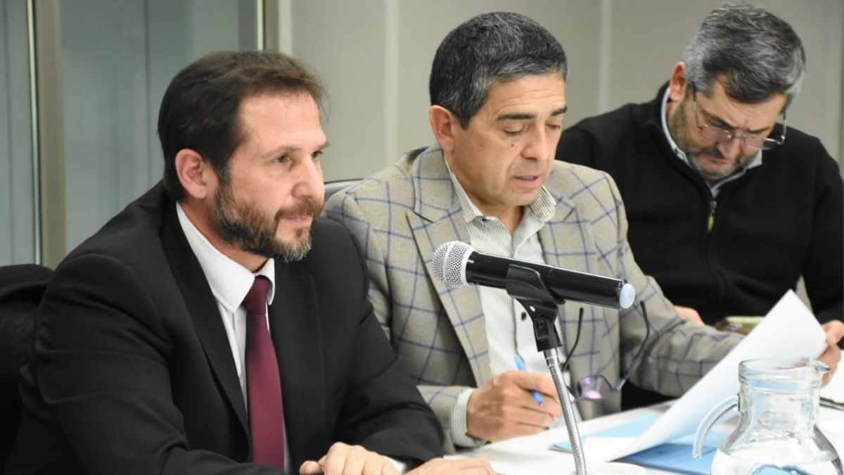 El subsecretario de Justicia, Marcelo DAgostino, junto al senador radical Walther Marcolini.