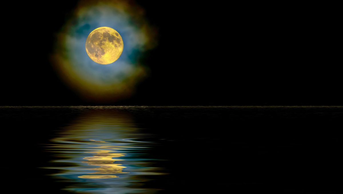 Cuando el día comienza temprano, con pocas ganas y pocas energías, busca pequeños momentos de luz. Cuando el día comienza temprano, con pocas ganas y pocas energías, busca pequeños momentos de luz. 