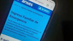 IFE de $30.000 de ANSES: qué es el subsidio universal al desocupado que pidió un legislador