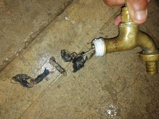 La mujer abrió la canilla para regar y el lugar de agua salía sangre