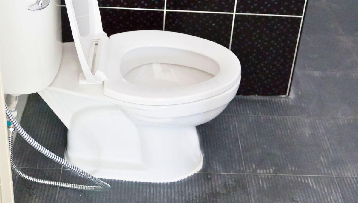 Para evitar p&eacute;rdidas de agua en el inodoro, existen algunos trucos o consejos caseros.&nbsp;