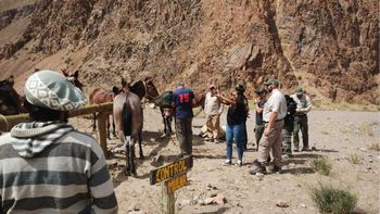 Avanza la causa por maltrato animal en el Parque Aconcagua