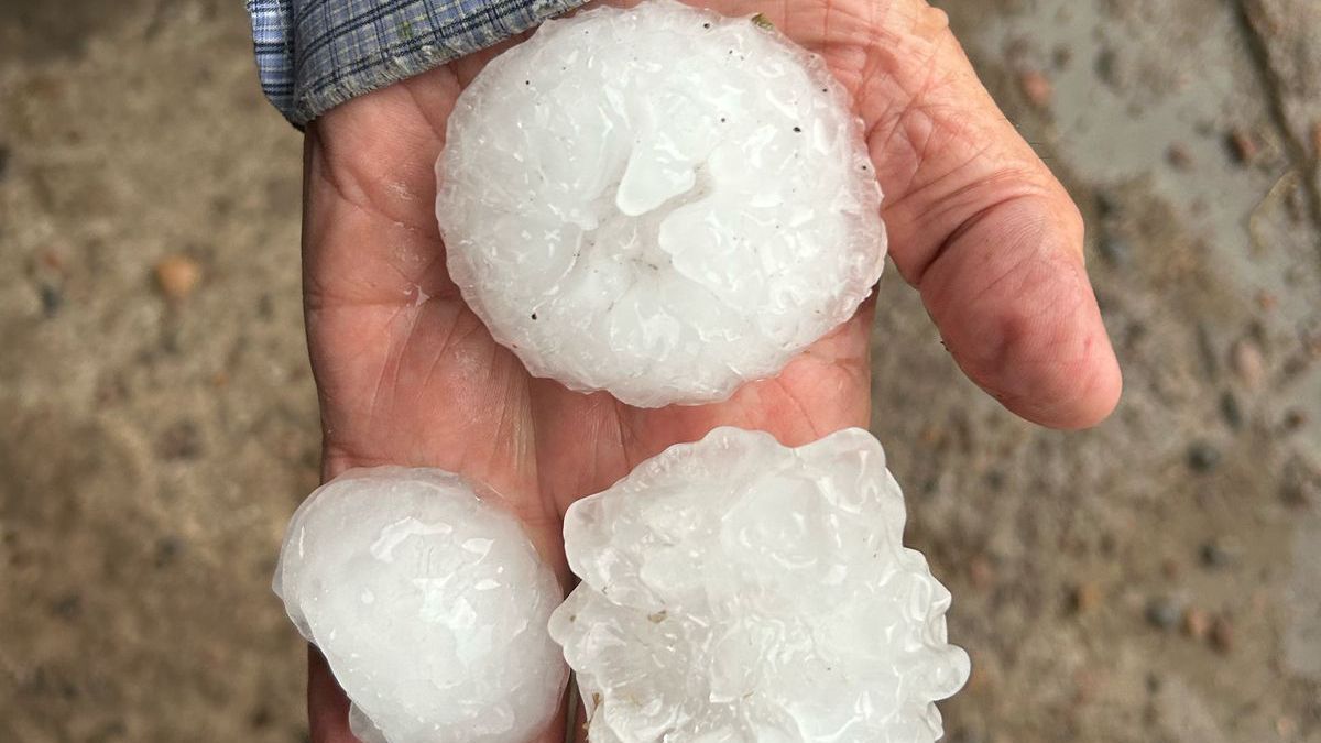 El tamaño del granizo y la intensidad de las tormentas dejó a muchos productores con las manos vacías El tamaño del granizo y la intensidad de las tormentas dejó a muchos productores con las manos vacías