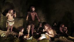 descubren detalle inesperado de la dieta de los neandertales: en que le ganaron a los humanos actuales