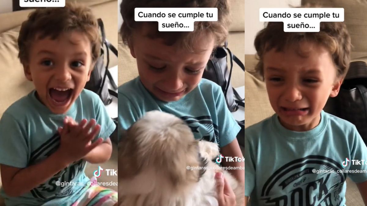 Le regalaron un perrito y su tierna reacción se volvió viral