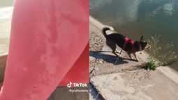 Una mendocina fue al lago del parque con su perro y protagonizó un hecho viral