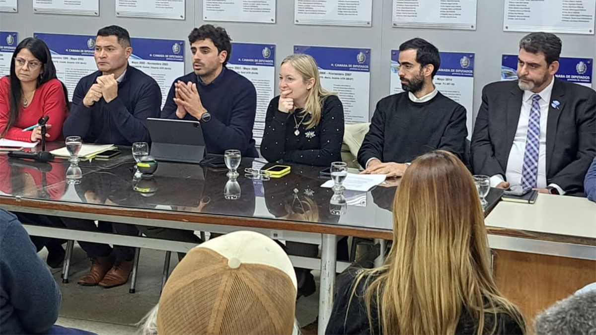 El ministro de Hacienda, Víctor Fayad, y el de Gobierno, Natalio Mema, defendieron ante ambas cámaras ambos proyectos. El ministro de Hacienda, Víctor Fayad, y el de Gobierno, Natalio Mema, defendieron ante ambas cámaras ambos proyectos.