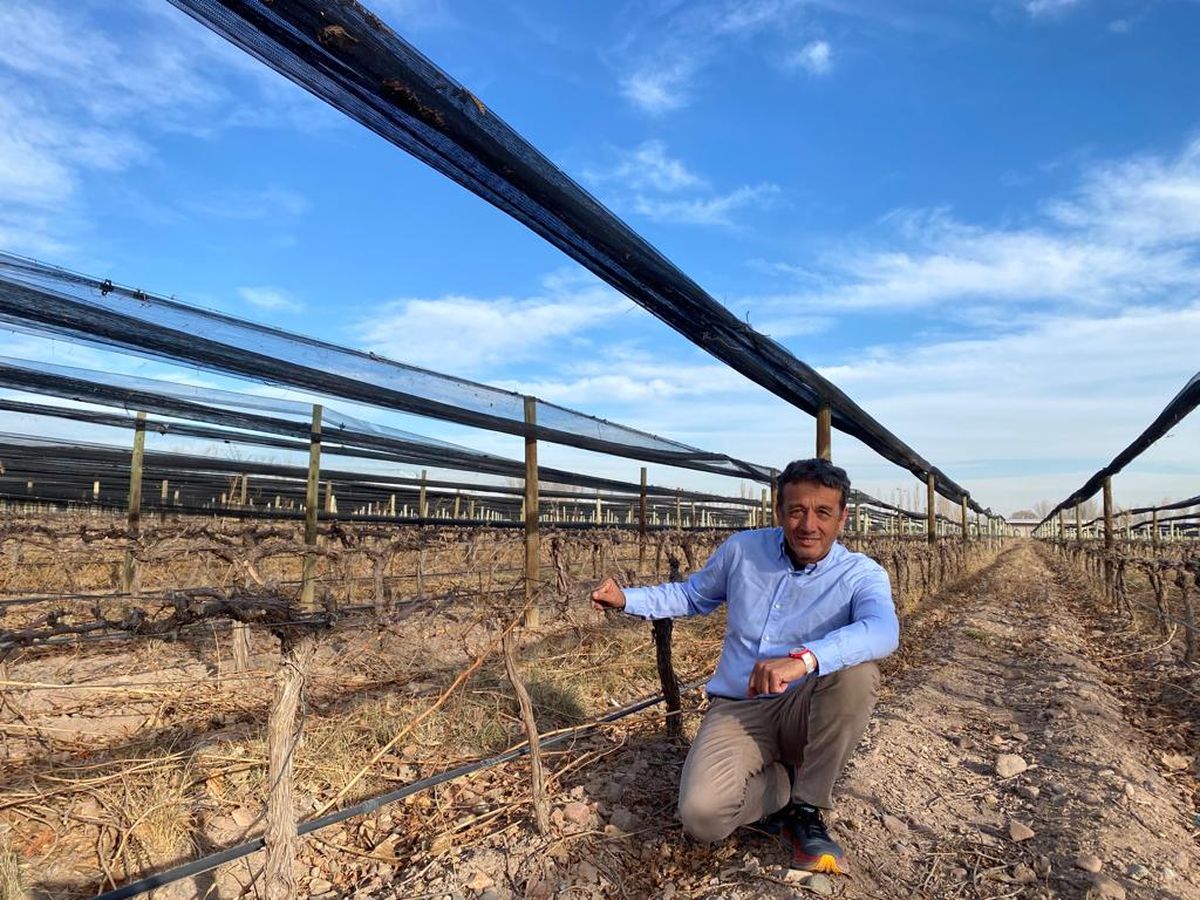 Gabriel Ruetsch es segunda generación de emigrantes europeos.&nbsp;