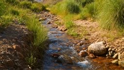 El agua no se negocia, pero ¿se cuida o se malgasta? El agua no se negocia, pero ¿se cuida o se malgasta?