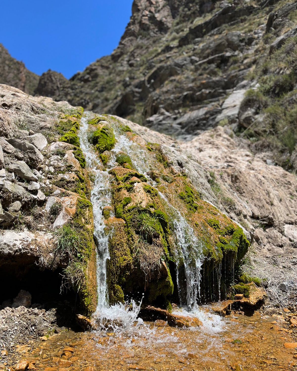 El agua de manantial que hace única a cada botellla de Villavicencio. El agua de manantial que hace única a cada botellla de Villavicencio.