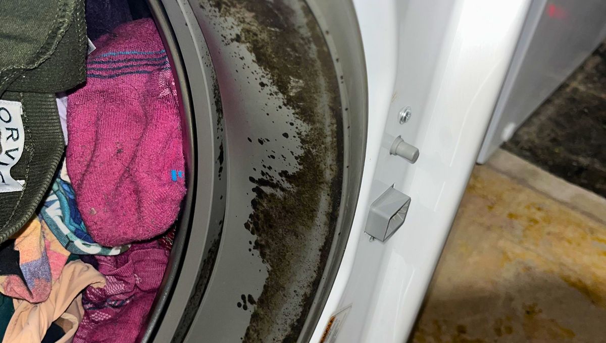 El ingrediente perfecto para limpiar la goma del lavarropas y eliminar los hongos