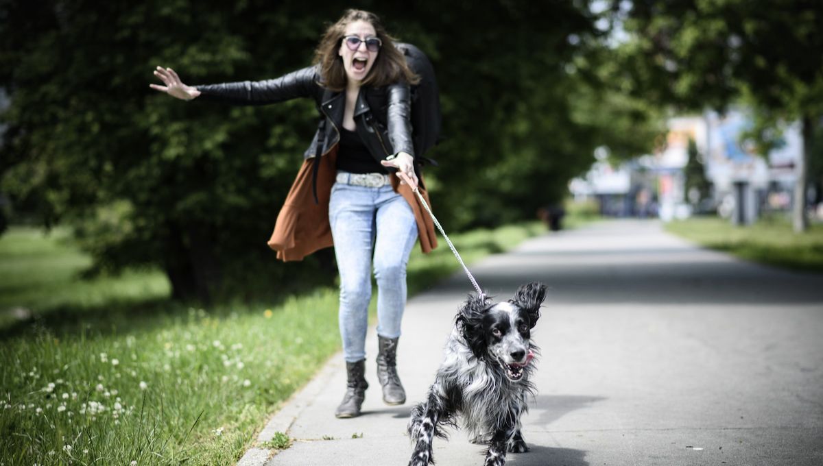 Si un perro acumula demasiada energía