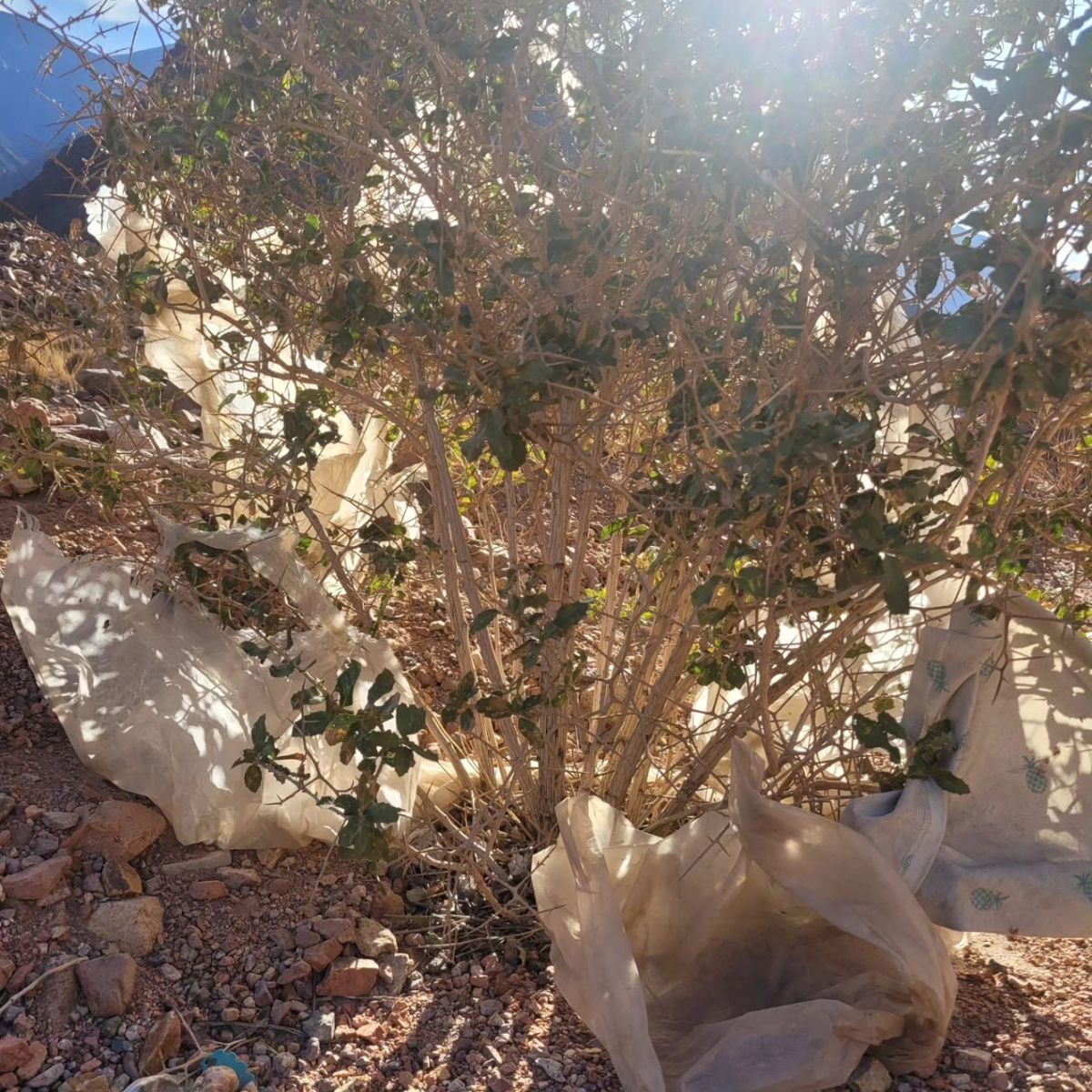 La basura al costado de la Ruta 7.