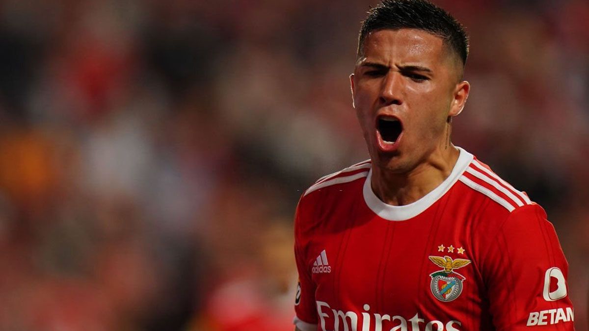 Enzo Fernández Anda Derecho Y Marcó Un Gol En El Debut De Benfica En La Liga De Portugal 